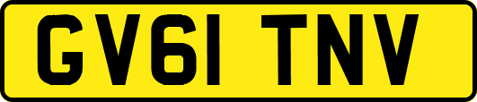 GV61TNV