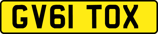 GV61TOX