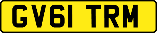 GV61TRM