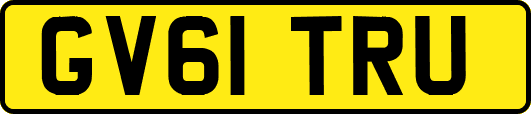 GV61TRU