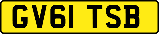 GV61TSB