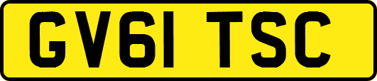 GV61TSC