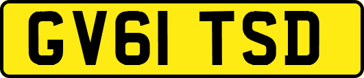 GV61TSD