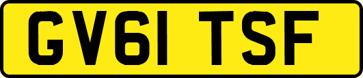 GV61TSF