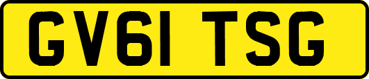 GV61TSG
