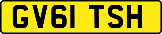 GV61TSH