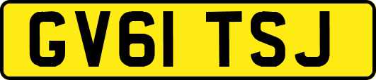 GV61TSJ