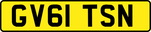 GV61TSN