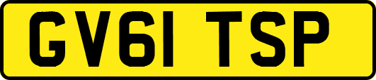 GV61TSP