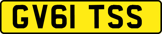 GV61TSS