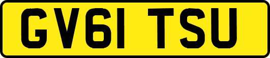 GV61TSU