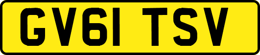 GV61TSV