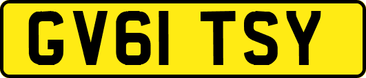 GV61TSY