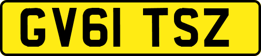 GV61TSZ