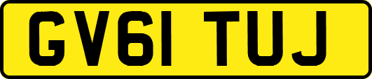 GV61TUJ
