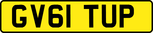 GV61TUP