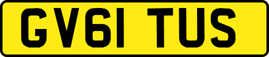 GV61TUS