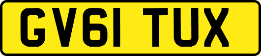 GV61TUX