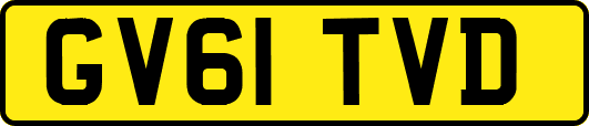 GV61TVD