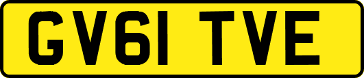 GV61TVE