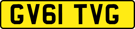 GV61TVG