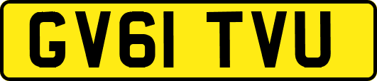 GV61TVU