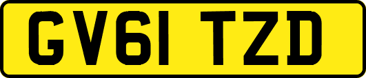 GV61TZD