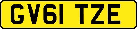 GV61TZE