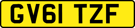 GV61TZF