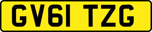 GV61TZG