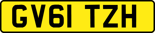 GV61TZH