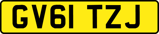 GV61TZJ