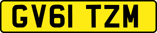 GV61TZM