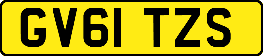 GV61TZS