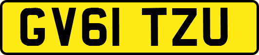 GV61TZU
