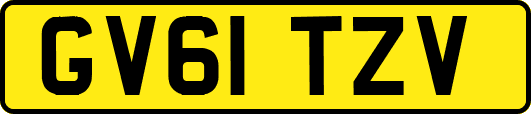 GV61TZV