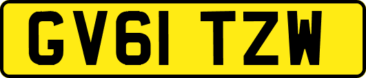GV61TZW