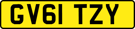 GV61TZY