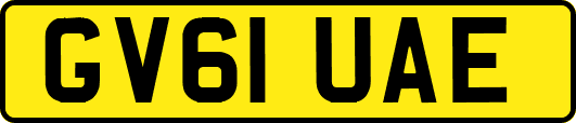 GV61UAE