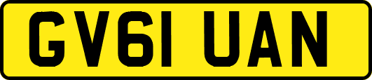 GV61UAN