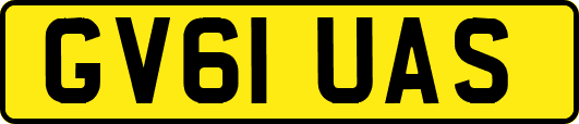 GV61UAS