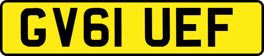 GV61UEF