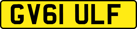 GV61ULF