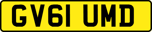 GV61UMD