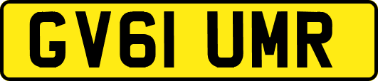 GV61UMR