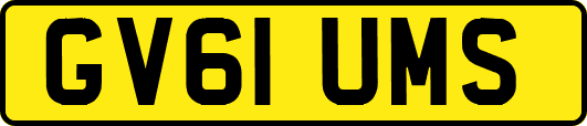 GV61UMS