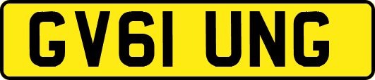 GV61UNG