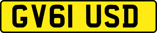 GV61USD