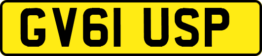 GV61USP