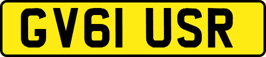 GV61USR